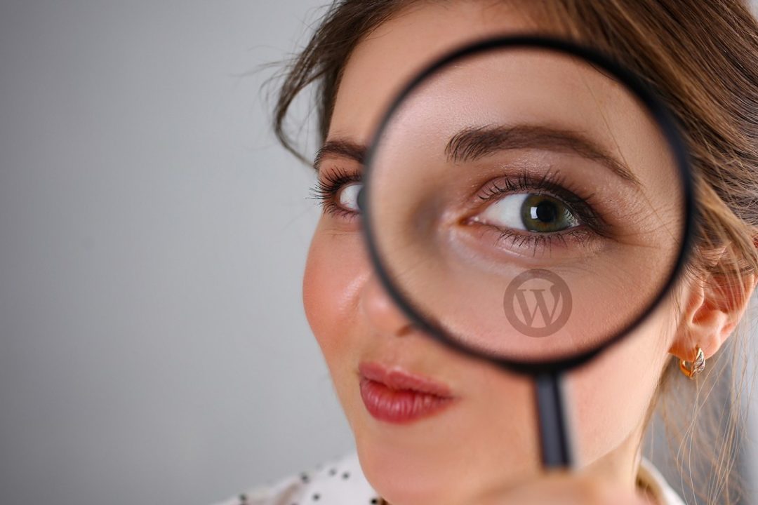FacetWP Plugin für Wordpress