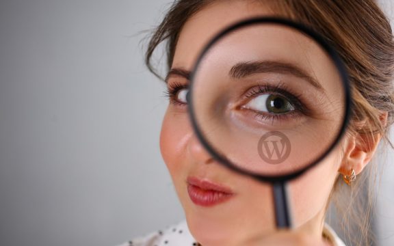 FacetWP Plugin für Wordpress
