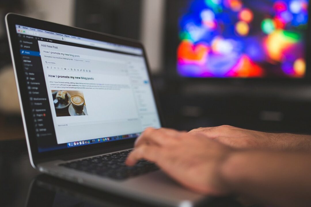 Theme Auswahl für Wordpress