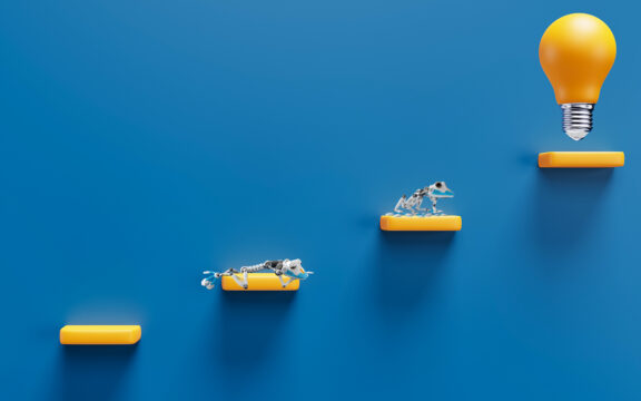 Woocommerce Shops optimieren