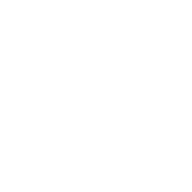 Woocommerce Online Shop