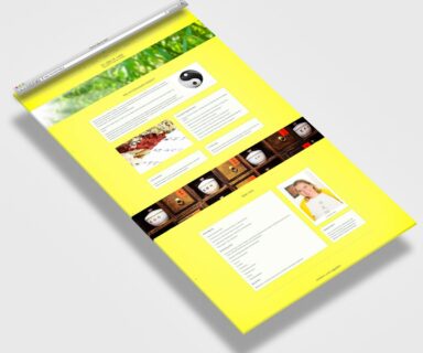 Webdesign Beispielprojekt TCM Arztpraxis Dr. Held