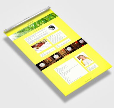 Webdesign Beispielprojekt TCM Arztpraxis Dr. Held