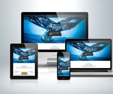 Webdesign Beispielprojekt Damptray