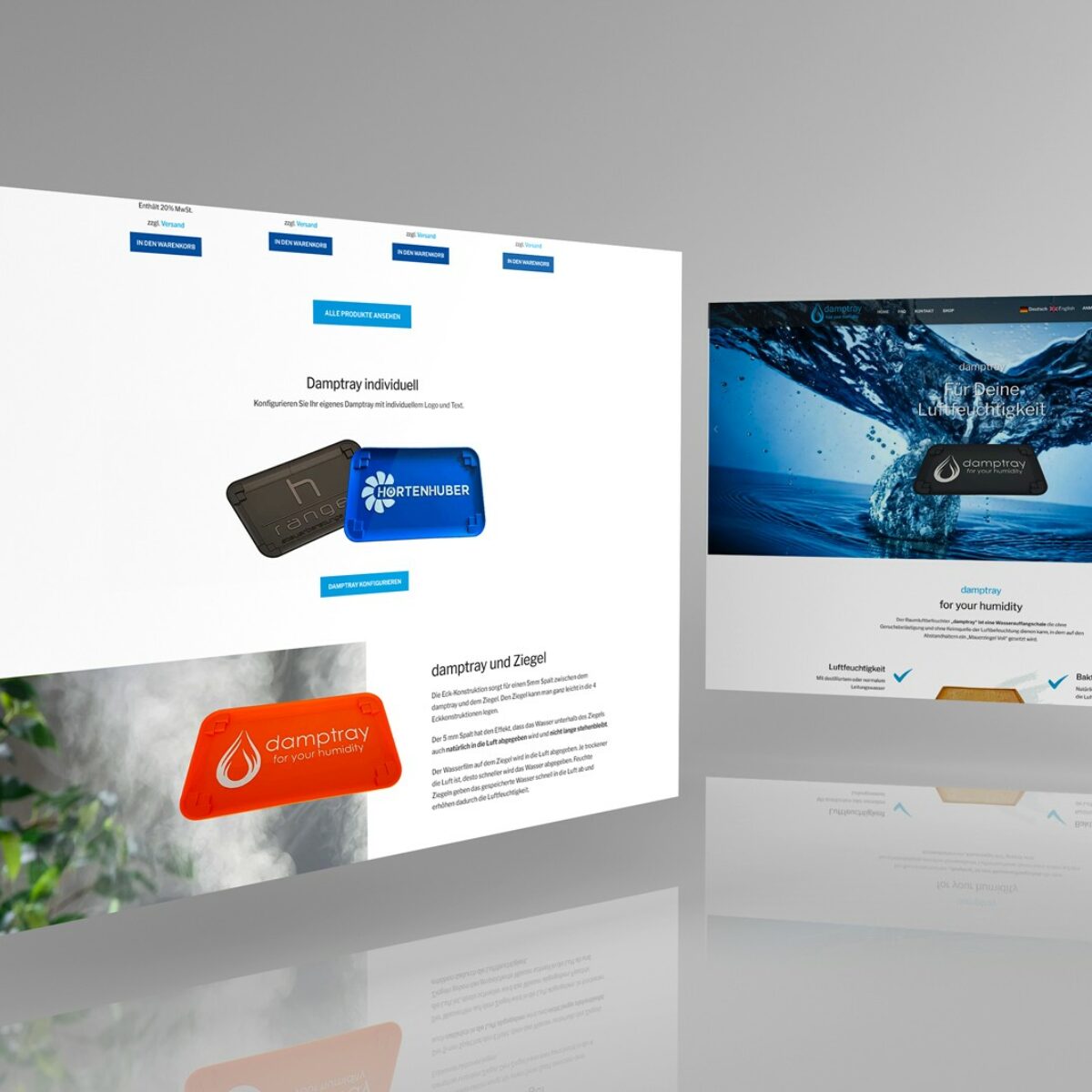 Webdesign Beispielprojekt Damptray