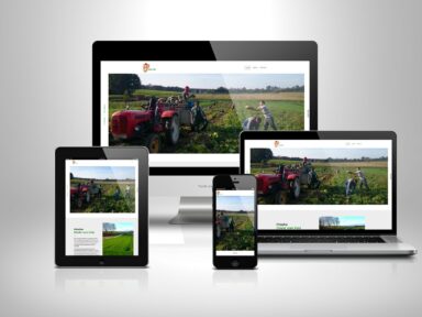 Penz Farm Webdesign Beispielprojekt