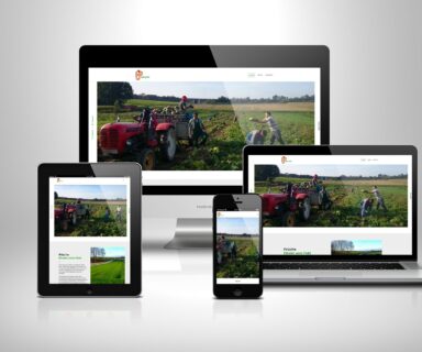 Penz Farm Webdesign Beispielprojekt