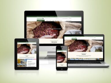 Webdesign Beispielprojekt räucher.info