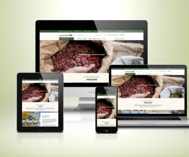 Webdesign Beispielprojekt räucher.info