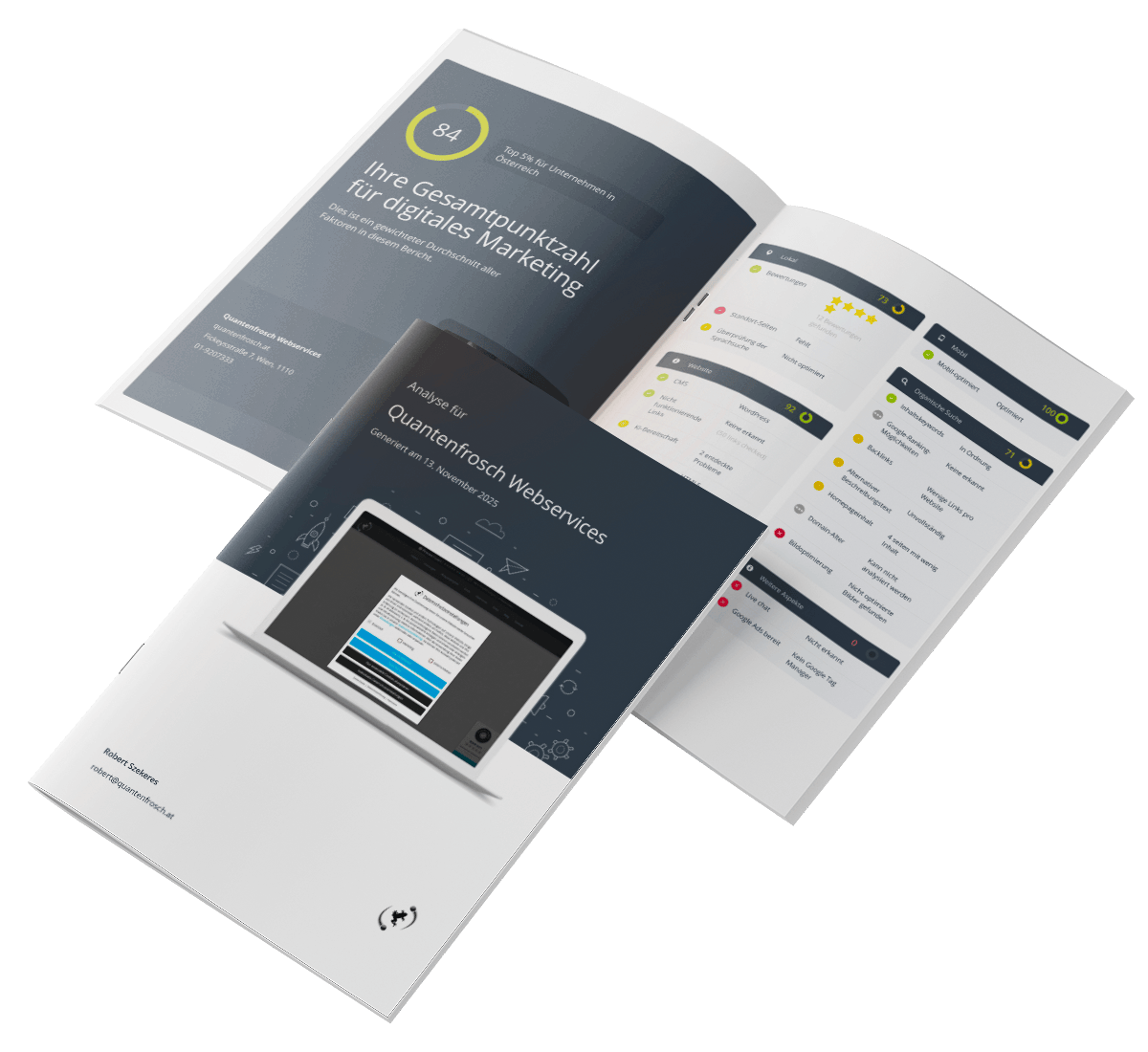 Beispielreport für kostenlosen Website Check